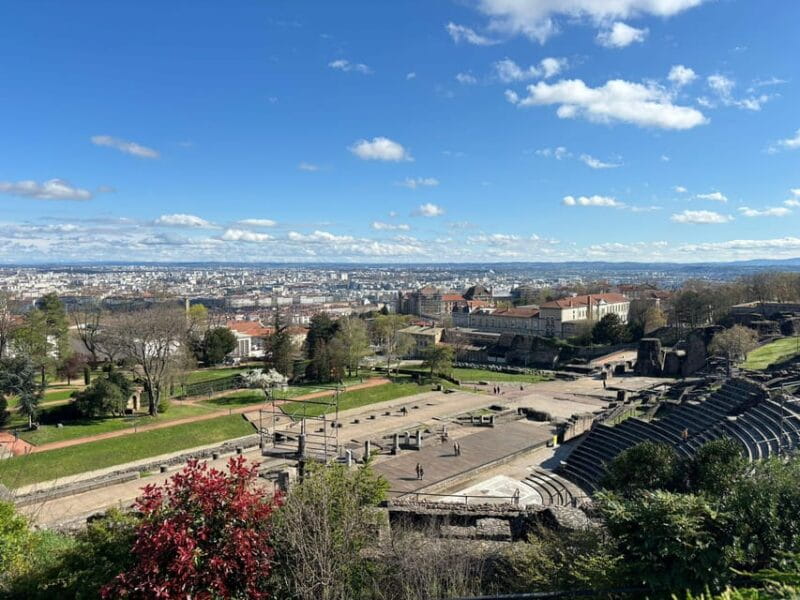 Lyon : Visit Lyon on a private half-day tour with a driver - Pricing and Value: Is It Worth It?