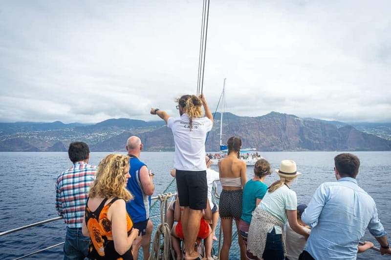 Madeira : 5 hour East Coast boat excursion - Key points / Takeaways