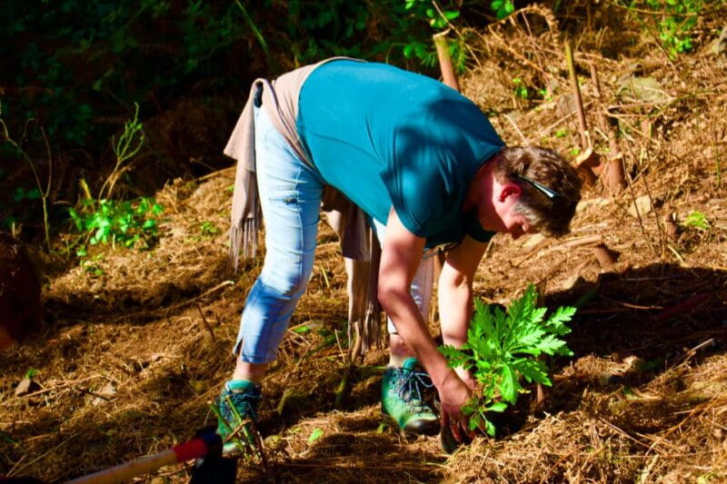 Madeira: Arieiro, Santana, Ponta de São Lourenço Jeep Tour - Off-Road Thrills in Cova da Roda