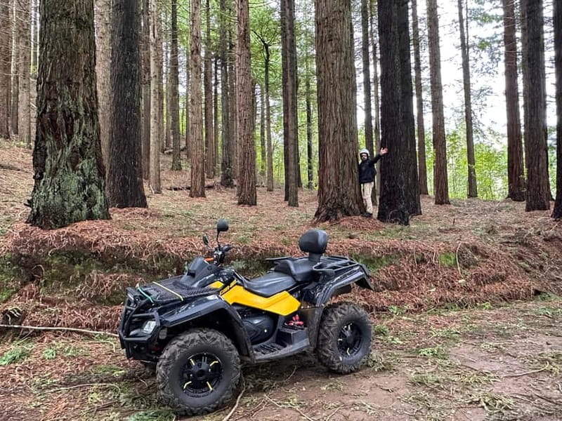 Madeira: ATV or QUAD off-road private adventure Santana - Price and value