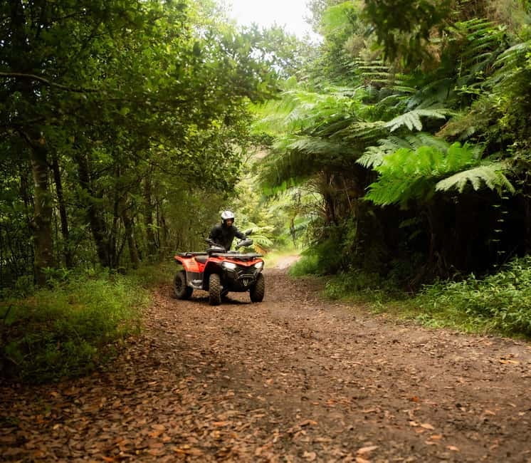 Madeira: Aventura Off-Road de ATV ou Quad - Adrenalina - Key Points / Takeaways