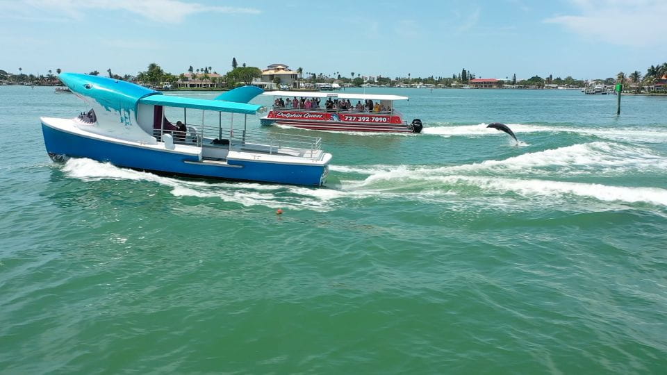Madeira Beach: Sightseeing Cruise to Johns Pass With Guide - Cruise Operations and Guarantees