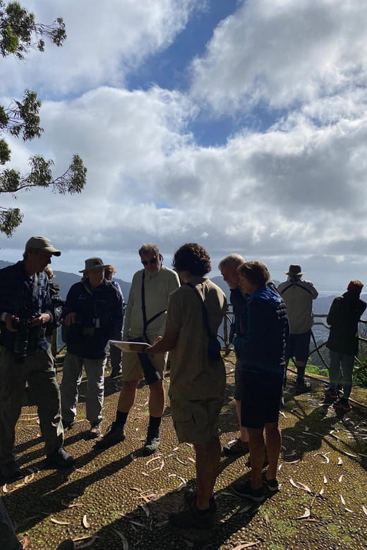 Madeira: Birdwatching - The Endemics - A Detailed Look at the Tour Experience