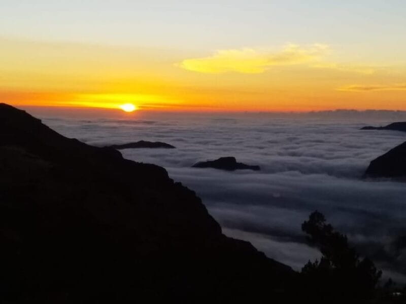 Madeira: Birdwatching - The Endemics - Who Should Book This Tour?