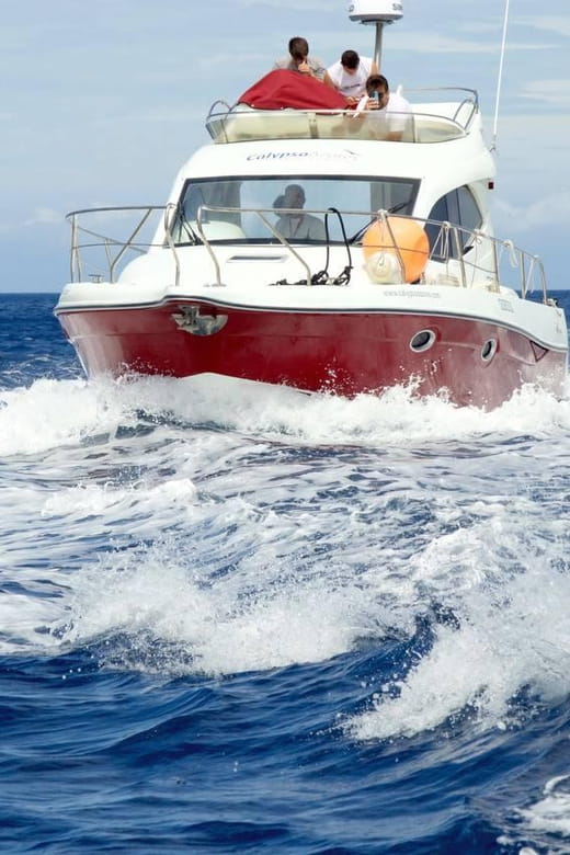 Madeira: Boat trip - Key Points / Takeaways