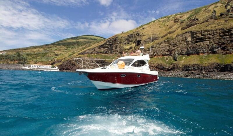 Madeira: Boat trip - Price and Value Analysis