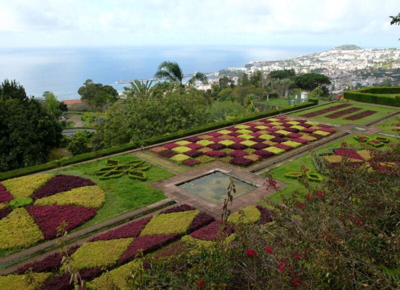 Madeira: Botanical Garden in a Tuk-Tuk Tour - Who Should Consider This Experience?