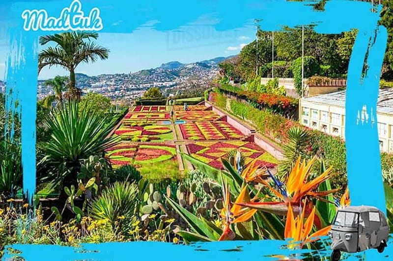 Madeira: Botanical Gardens + Old Town Tuk-Tuk Tour by MadTuk - An in-depth look at Madeira’s Botanical Gardens + Old Town Tuk-Tuk Tour
