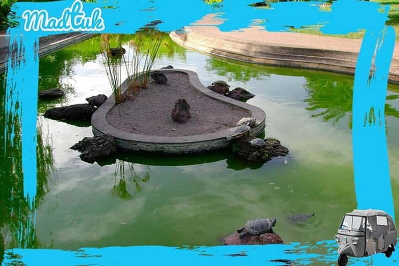 Madeira: Botanical Gardens + Old Town Tuk-Tuk Tour by MadTuk - FAQ