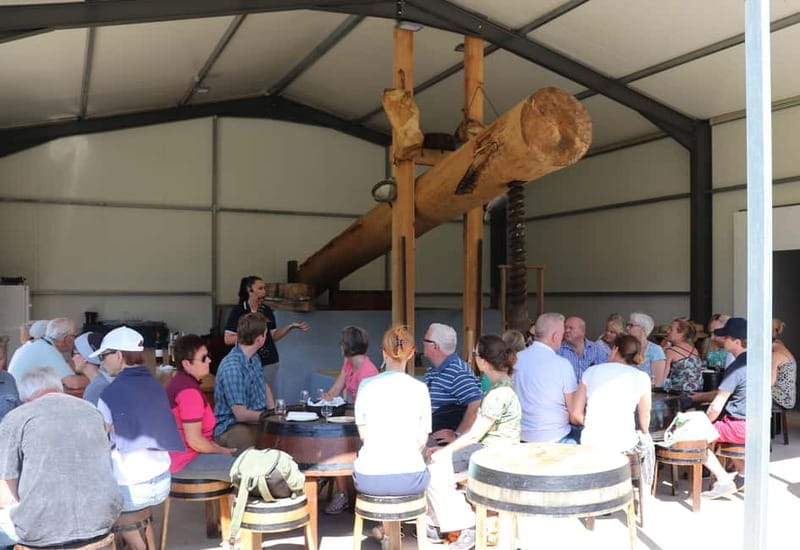 Madeira: Cabo Girão, Wines Experience and Dolphins Watching - Final Stop and Return to Funchal