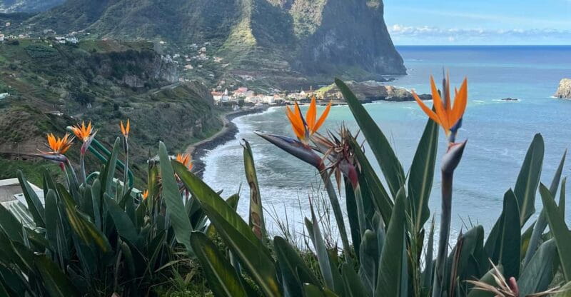 Madeira: Cliff Hanger Vereda Larano Hike Machico - Setting the Scene: A Full Breakdown of the Experience