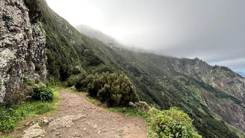 Madeira: Cliff Hanger Vereda Larano Hike Machico - FAQ