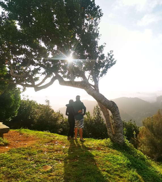 Madeira E-Buggy Adventure: 4x4 thrill & epic views! Book now - The Experience Itself: Details and Practicalities