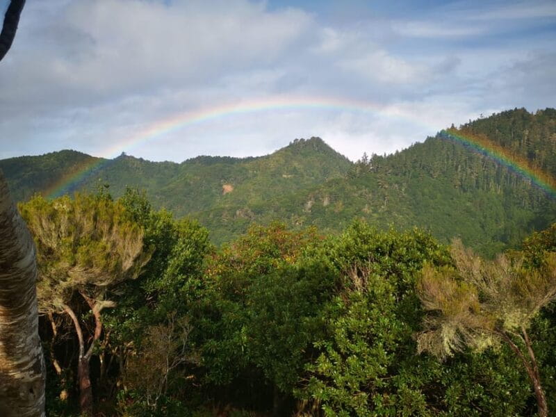 Madeira E-Buggy Adventure: 4x4 thrill & epic views! Book now - Who Will Love This Experience?
