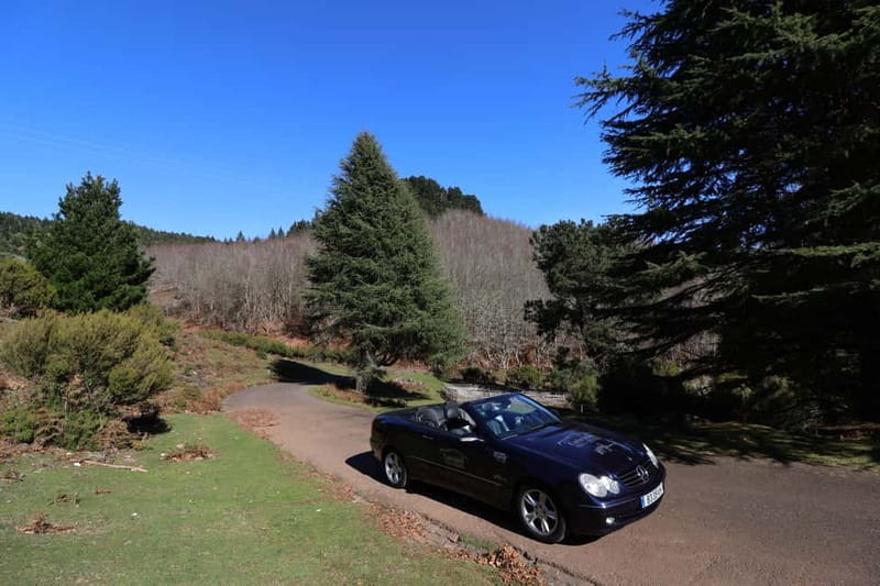 Madeira: East Coast Cabriolet Road Trip - Coastal Cliffs and Hidden Gems at Ponta de São Lourenço