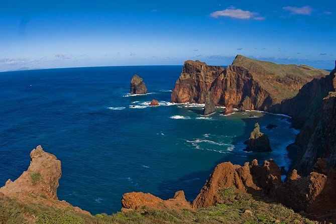 Madeira East Tour From Funchal - Laurissilva Forest