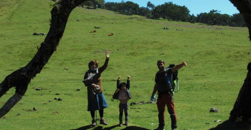 Madeira: Fanal Forest Guided Hiking Tour - The Guided Hike: What to Expect