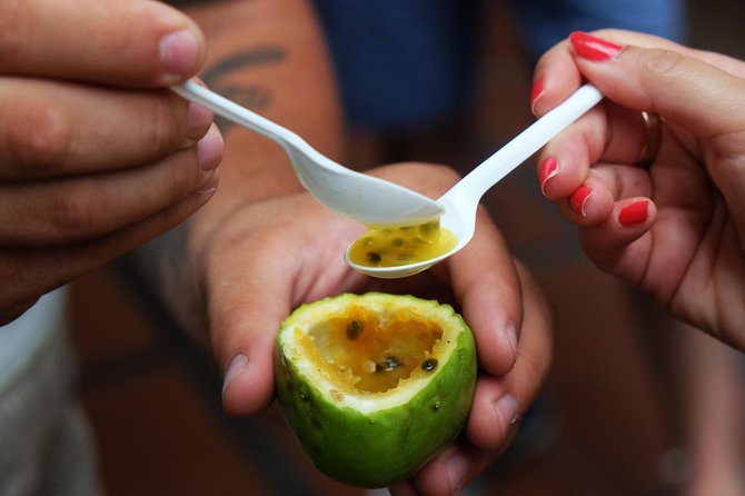 Madeira Food, Wine & Cultural Tour - Meeting and Pickup