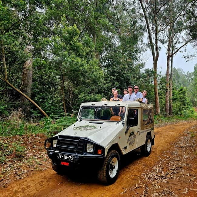 Madeira: full day private tour (maximum 6 people) - FAQ