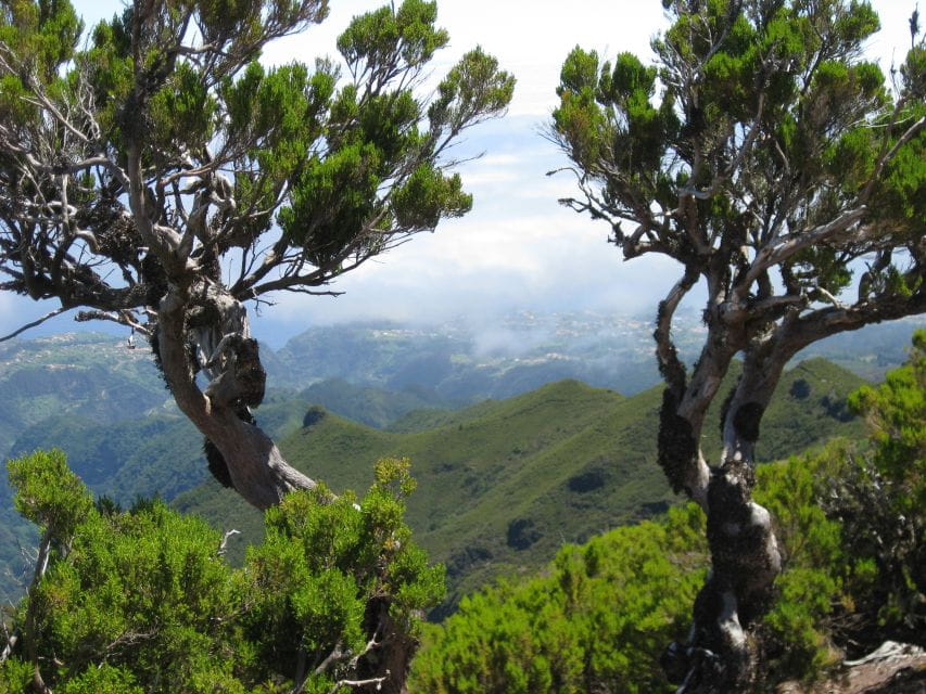 Madeira: Full-Day Teixeira Walk - Customer Reviews and Ratings