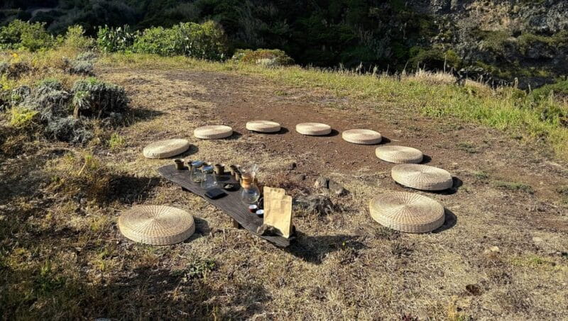 Madeira: Group and Private Tea Drinking Experiences - Who’s It For? Ideal Travelers and Considerations