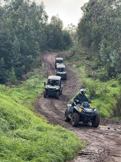 Madeira: Half-Day Off-Road Buggy Tour - Driving and Safety — What to Expect
