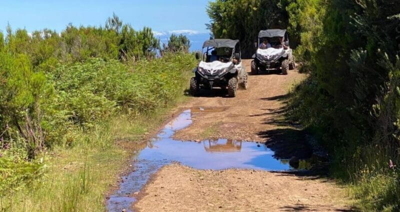Madeira: Half-Day Off-Road Buggy Tour - The Experience: A Mix of Adventure and Culture