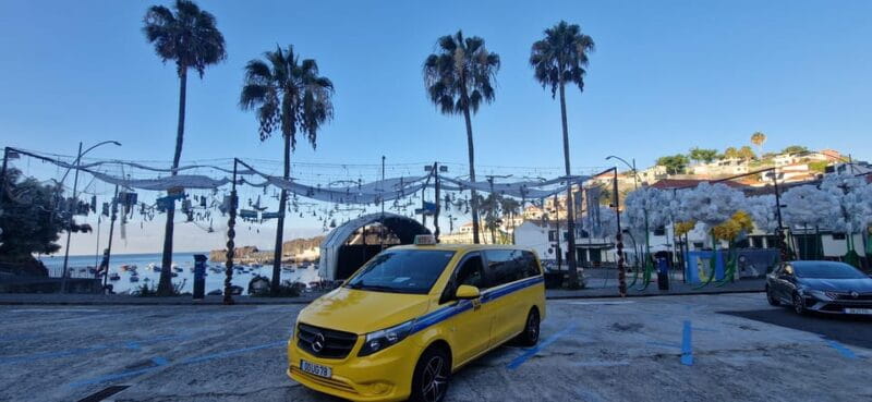 Madeira Island - Key Points / Takeaways