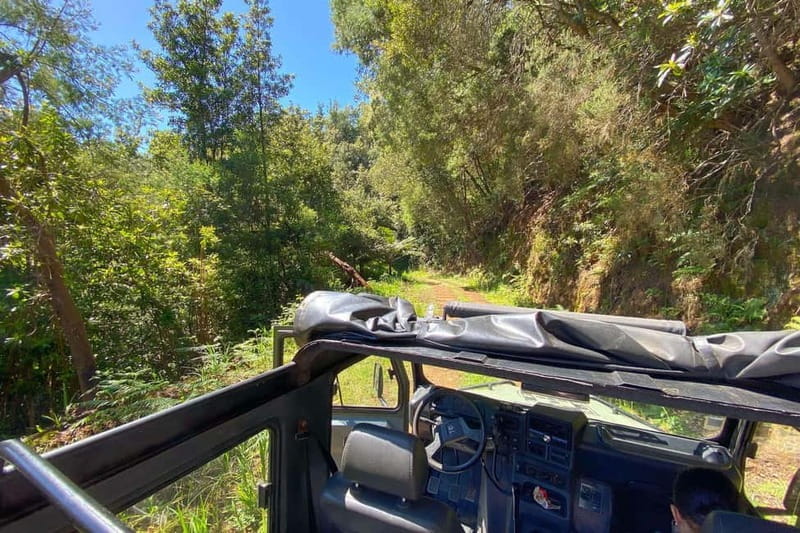 Madeira Island: Full Day Jeep Tour - Pico do Arieiro, East - Final Coastal Stop in Caniçal and Return Journey