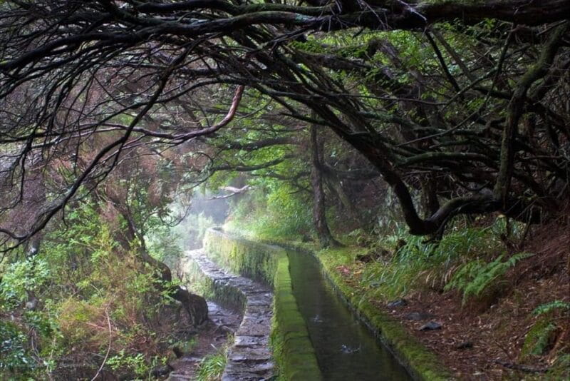 MADEIRA ISLAND WALK - 25 FOUNTAINS LEVADA - How the Tour Is Structured for the Best Experience