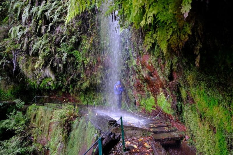 MADEIRA ISLAND WALK - HIDDEN CORNERS KINGS LEVADA - Discovering Madeira’s Lesser-Known Trails: A Detailed Look