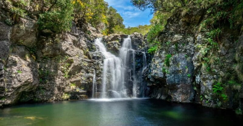 MADEIRA ISLAND WALK - LAKES OF MADEIRA , LEVADA DO ALECRIM - Exploring Madeira’s Lakes – A Guided Walk Along Levada do Alecrim