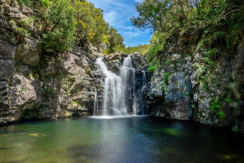 MADEIRA ISLAND WALK - LAKES OF MADEIRA , LEVADA DO ALECRIM - Why This Experience Stands Out