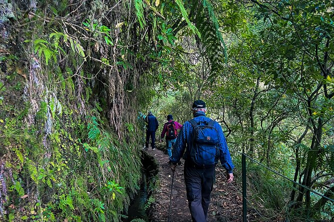 Madeira Levada Walk - Caldeirao Verde - Traveler Requirements and Recommendations