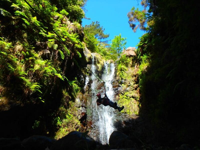 Madeira: Level-1 Canyoning Adventure - The Journey Begins: From Meeting Point to Mountain**