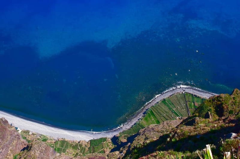 Madeira: Luxury 4-Hour Cruise on a Private Catamaran - Who Is This Tour Best For?