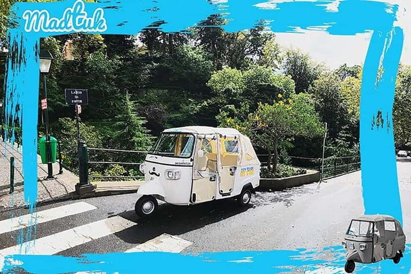 Madeira: Monte Toboggan + Old Town Tuk-Tuk Tour by MadTuk - Who Would Love This Tour?