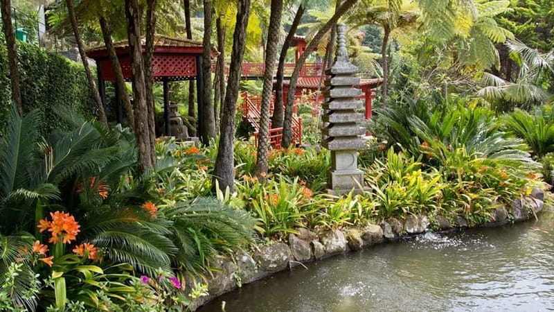 Madeira: Monte Tropical Gardens + Old Town Tuk Tuk by MadTuk - Key Points / Takeaways