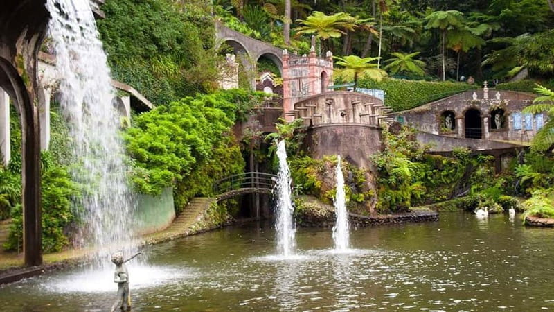 Madeira: Monte Tropical Gardens + Old Town Tuk Tuk by MadTuk - Who Should Consider This Tour?