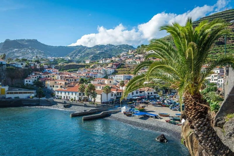 Madeira: Nuns Valley and Câmara de Lobos Half-Day Tour - In-depth Review: Exploring Madeira’s Natural Beauty and Local Charm