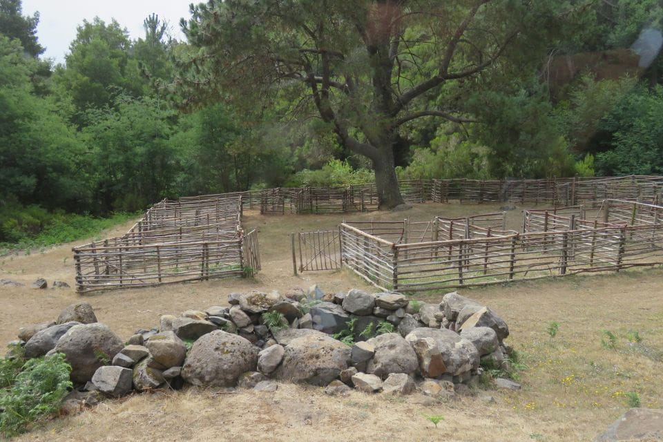 Madeira : Nuns Valleys and Pico Areeiro 4X4 Tour - Important Considerations