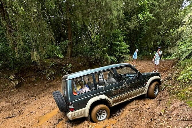 Madeira Off-Road 4x4 Jeep Adventure Private Full day Tour - A Deep Dive into the Experience