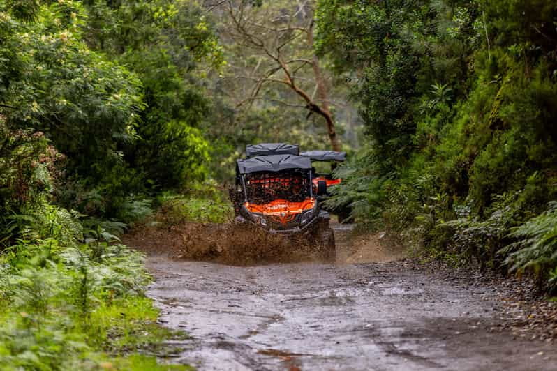 Madeira: OFF-ROAD BUGGY ADVENTURE TO FUNDURAS - Key points / Takeaways