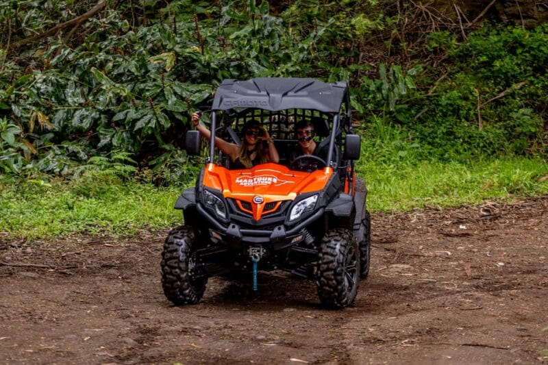 Madeira: OFF-ROAD BUGGY ADVENTURE TO FUNDURAS - Who Should Consider This Tour?
