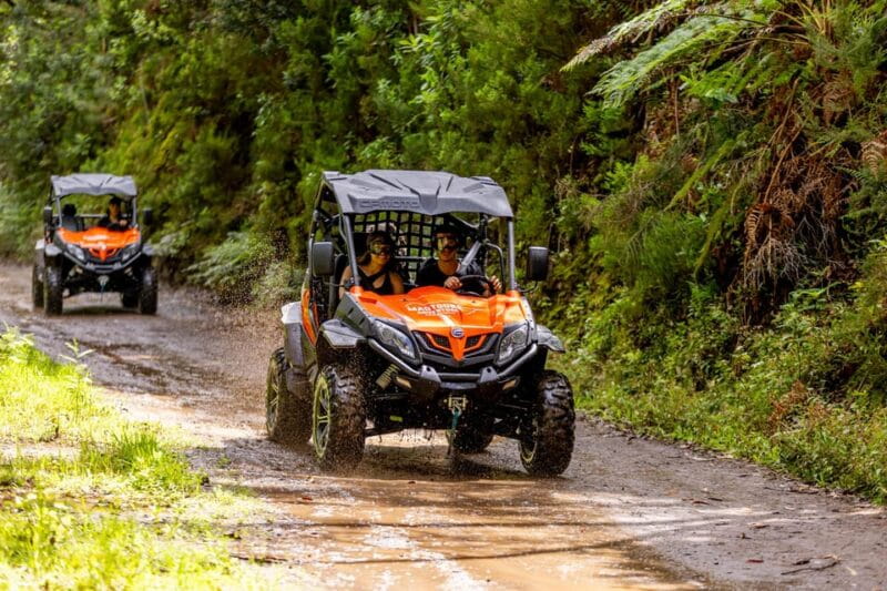 Madeira: OFF-ROAD BUGGY ADVENTURE TO FUNDURAS - Final Thoughts