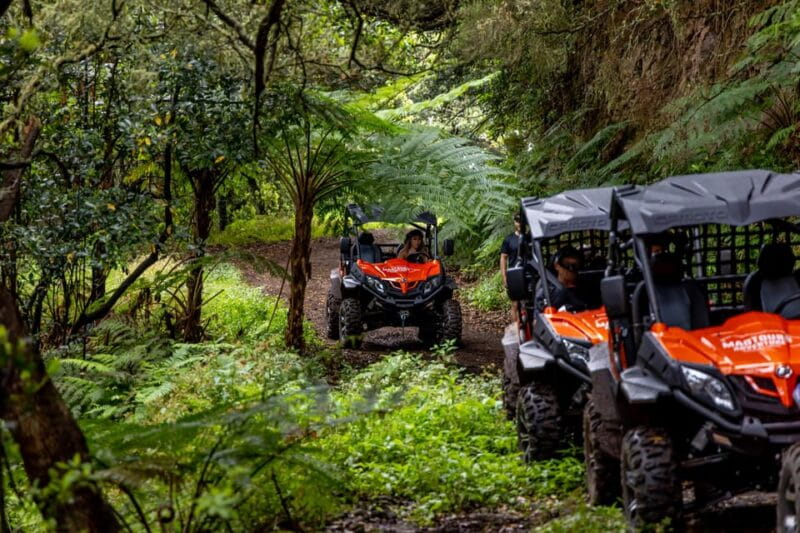 Madeira: OFF-ROAD BUGGY ADVENTURE TO FUNDURAS - FAQ: Madeira Off-Road Buggy Adventure