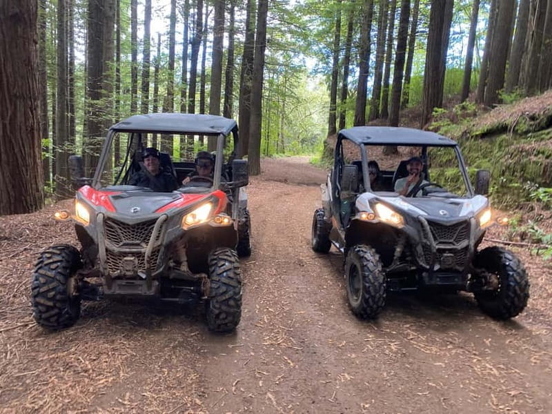 Madeira: Off-Road Buggy Driving Experience - Key points / Takeaways