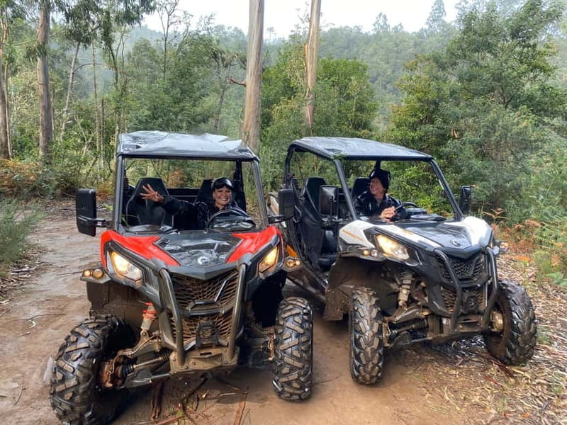 Madeira: Off-Road Buggy Driving Experience - Transportation and Logistics