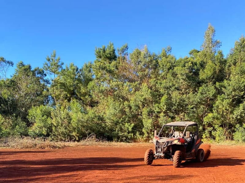 Madeira: Off-Road Buggy Driving Experience - Final Thoughts: Is This Tour For You?