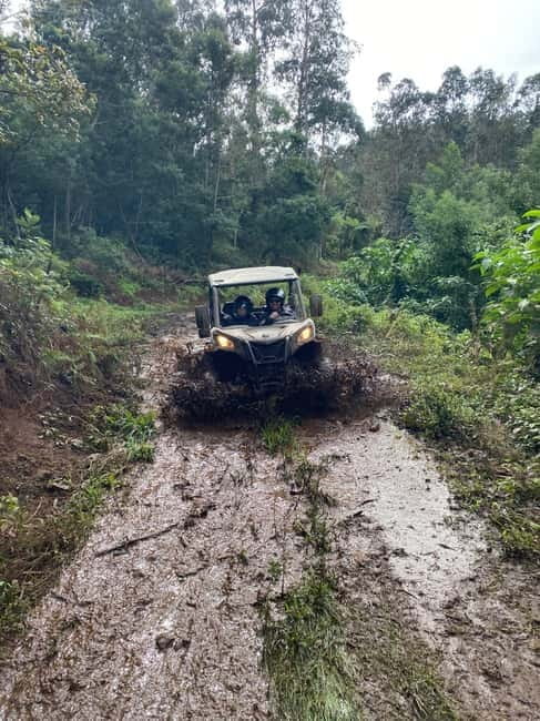 Madeira: Off-Road Buggy Driving Experience - To sum it up